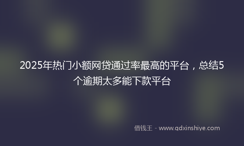 2025年热门小额网贷通过率最高的平台，总结5个逾期太多能下款平台