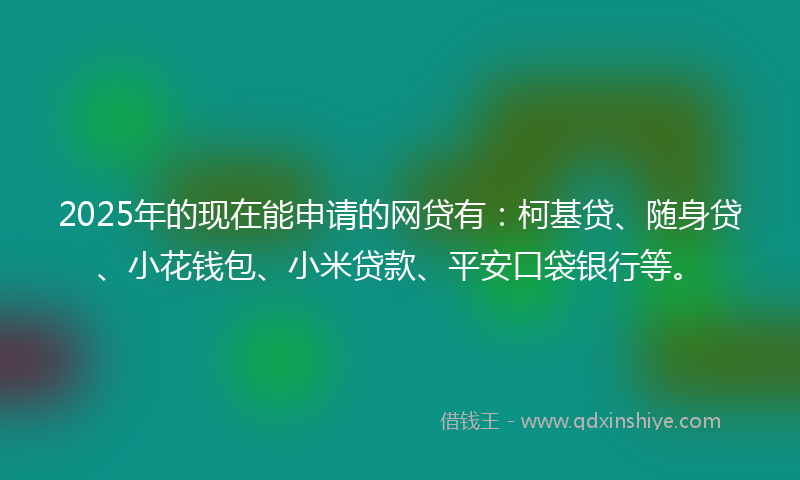 2025年的现在能申请的网贷有：柯基贷、随身贷、小花钱包、小米贷款、平安口袋银行等。