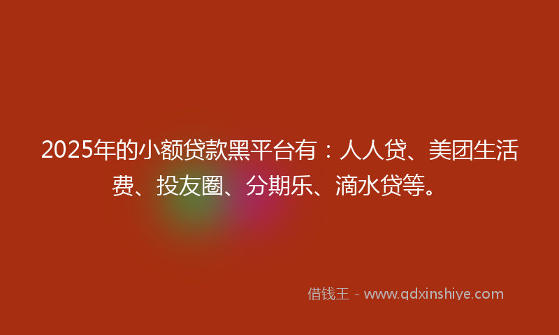 2025年的小额贷款黑平台有：人人贷、美团生活费、投友圈、分期乐、滴水贷等。