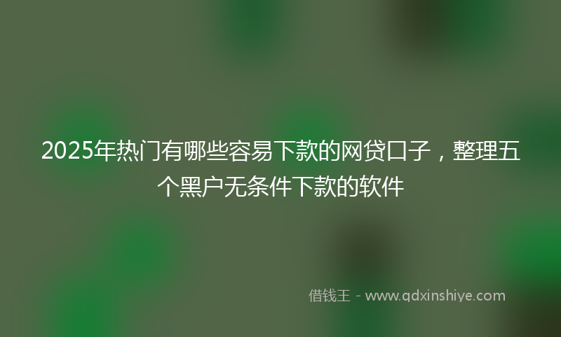2025年热门有哪些容易下款的网贷口子，整理五个黑户无条件下款的软件