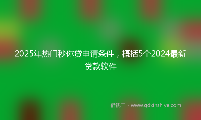2025年热门秒你贷申请条件，概括5个2024最新贷款软件