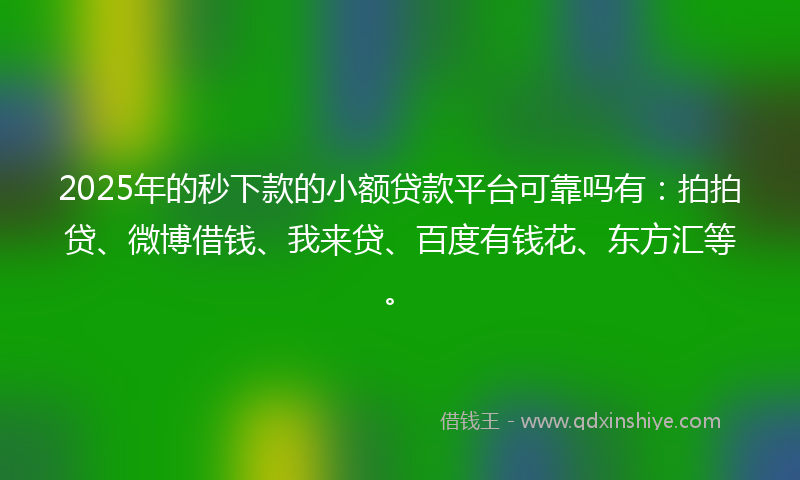 2025年的秒下款的小额贷款平台可靠吗有：拍拍贷、微博借钱、我来贷、百度有钱花、东方汇等。