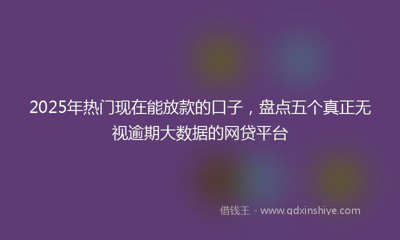 2025年热门现在能放款的口子，盘点五个真正无视逾期大数据的网贷平台