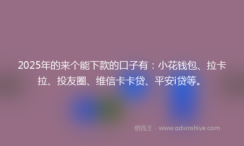 2025年的来个能下款的口子有：小花钱包、拉卡拉、投友圈、维信卡卡贷、平安i贷等。