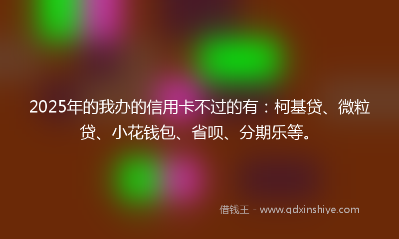 2025年的我办的信用卡不过的有：柯基贷、微粒贷、小花钱包、省呗、分期乐等。