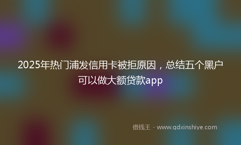 2025年热门浦发信用卡被拒原因，总结五个黑户可以做大额贷款app