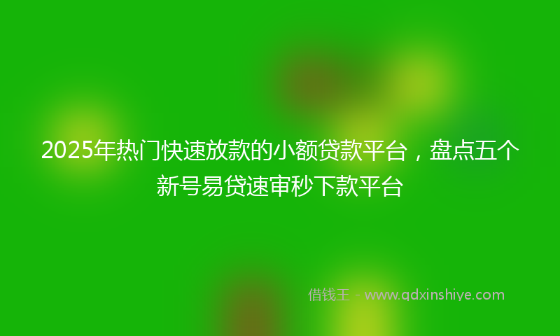 2025年热门快速放款的小额贷款平台，盘点五个新号易贷速审秒下款平台