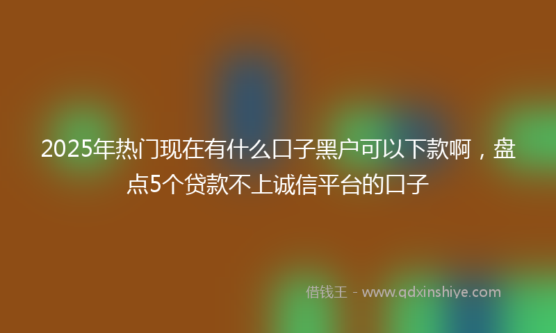 2025年热门现在有什么口子黑户可以下款啊，盘点5个贷款不上诚信平台的口子