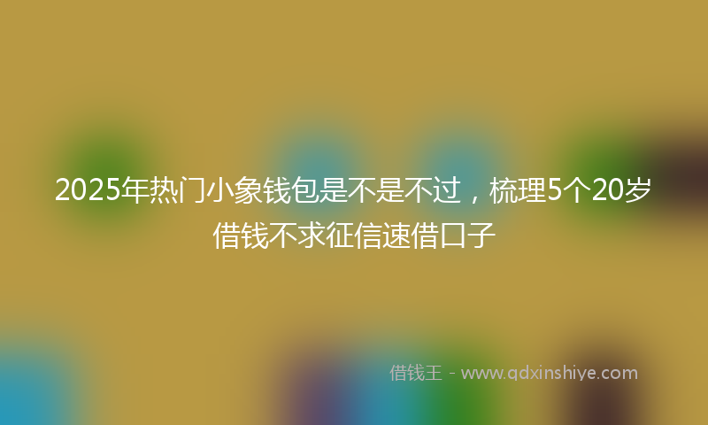 2025年热门小象钱包是不是不过，梳理5个20岁借钱不求征信速借口子