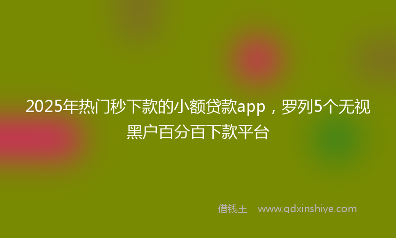 2025年热门秒下款的小额贷款app，罗列5个无视黑户百分百下款平台