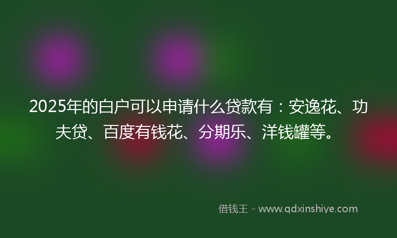 2025年的白户可以申请什么贷款有：安逸花、功夫贷、百度有钱花、分期乐、洋钱罐等。
