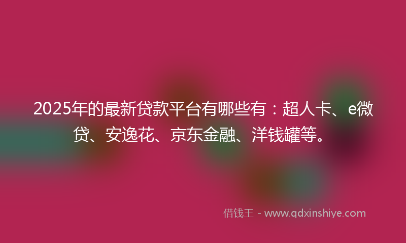 2025年的最新贷款平台有哪些有：超人卡、e微贷、安逸花、京东金融、洋钱罐等。