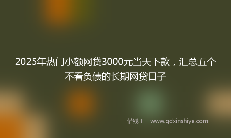 2025年热门小额网贷3000元当天下款，汇总五个不看负债的长期网贷口子
