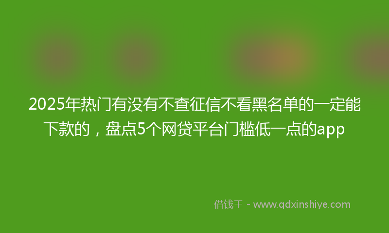 2025年热门有没有不查征信不看黑名单的一定能下款的，盘点5个网贷平台门槛低一点的app