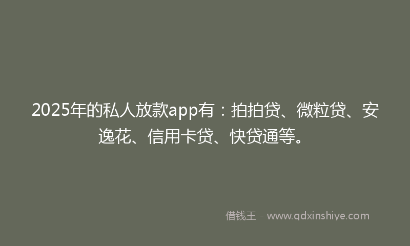 2025年的私人放款app有：拍拍贷、微粒贷、安逸花、信用卡贷、快贷通等。