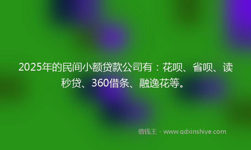 2025年的民间小额贷款公司有：花呗、省呗、读秒贷、360借条、融逸花等。