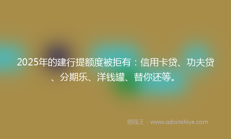 2025年的建行提额度被拒有：信用卡贷、功夫贷、分期乐、洋钱罐、替你还等。