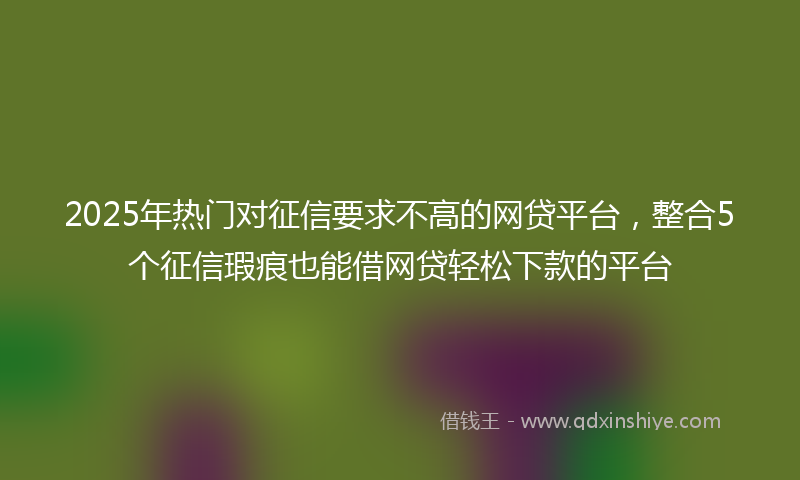 2025年热门对征信要求不高的网贷平台，整合5个征信瑕疵也能借网贷轻松下款的平台
