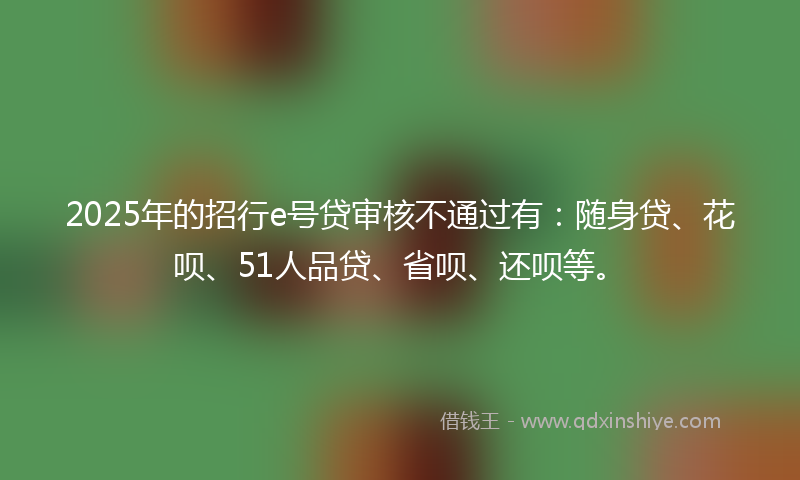 2025年的招行e号贷审核不通过有：随身贷、花呗、51人品贷、省呗、还呗等。