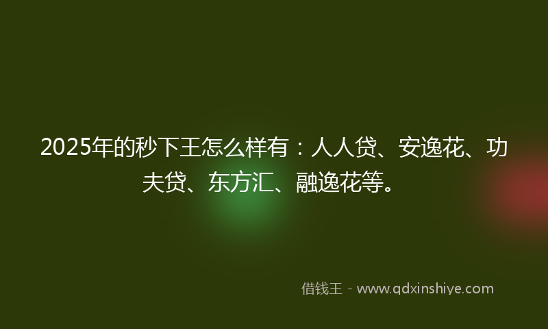 2025年的秒下王怎么样有：人人贷、安逸花、功夫贷、东方汇、融逸花等。
