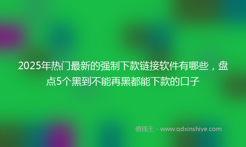2025年热门最新的强制下款链接软件有哪些，盘点5个黑到不能再黑都能下款的口子