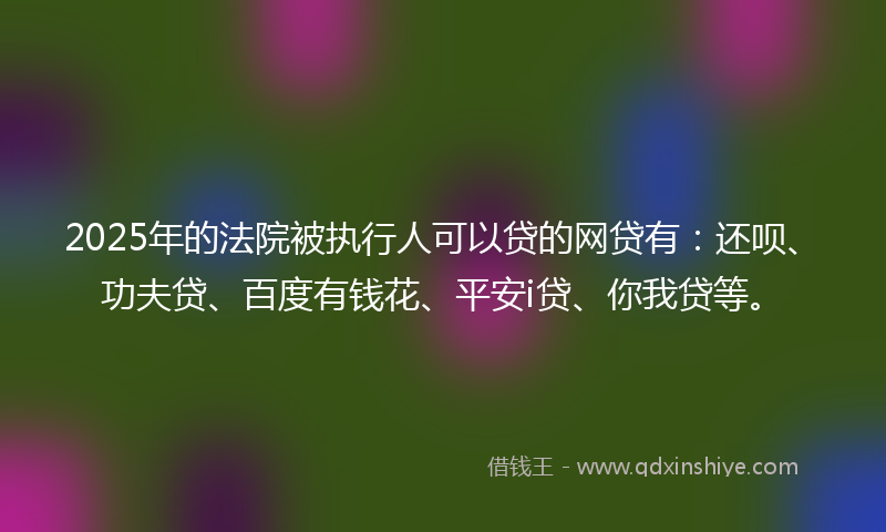 2025年的法院被执行人可以贷的网贷有：还呗、功夫贷、百度有钱花、平安i贷、你我贷等。