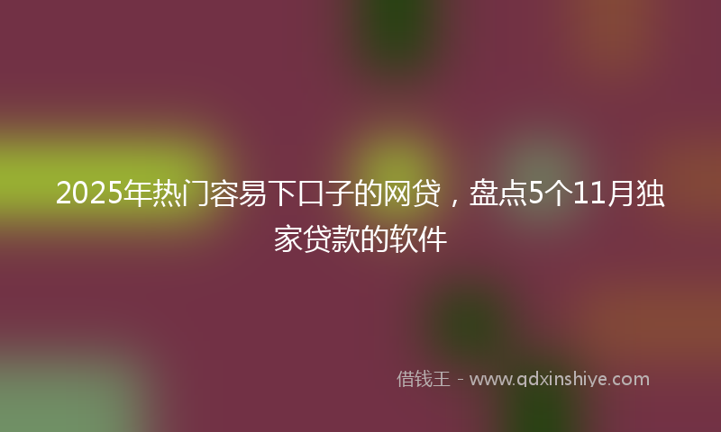 2025年热门容易下口子的网贷，盘点5个11月独家贷款的软件