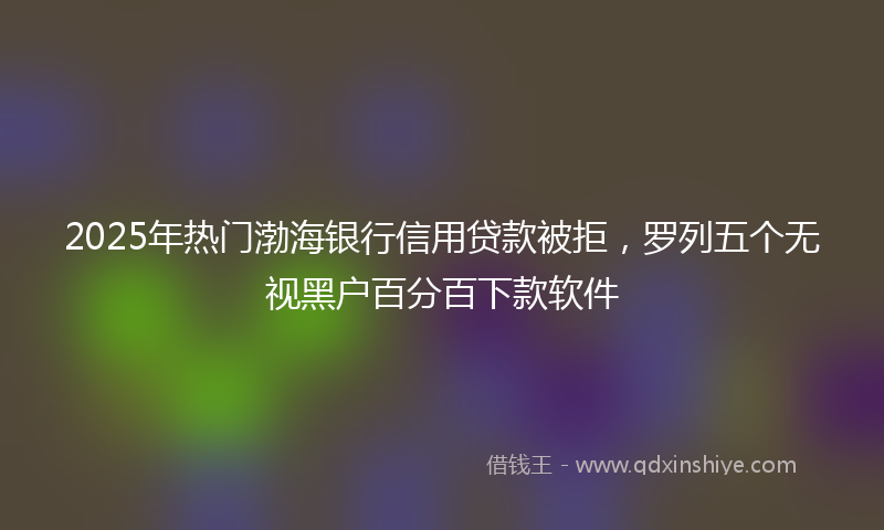 2025年热门渤海银行信用贷款被拒,罗列五个无视黑户百分百下款软件