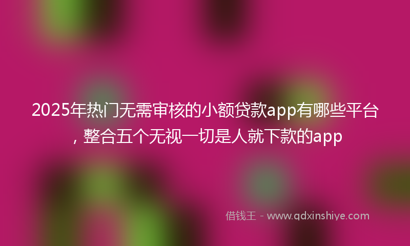 2025年热门无需审核的小额贷款app有哪些平台，整合五个无视一切是人就下款的app