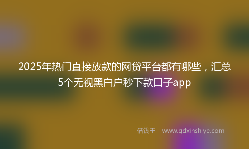 2025年热门直接放款的网贷平台都有哪些，汇总5个无视黑白户秒下款口子app