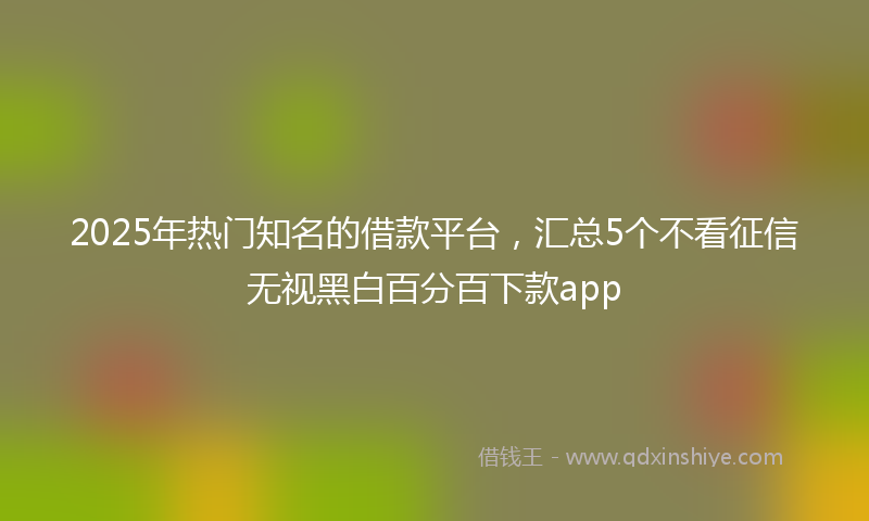 2025年热门知名的借款平台，汇总5个不看征信无视黑白百分百下款app