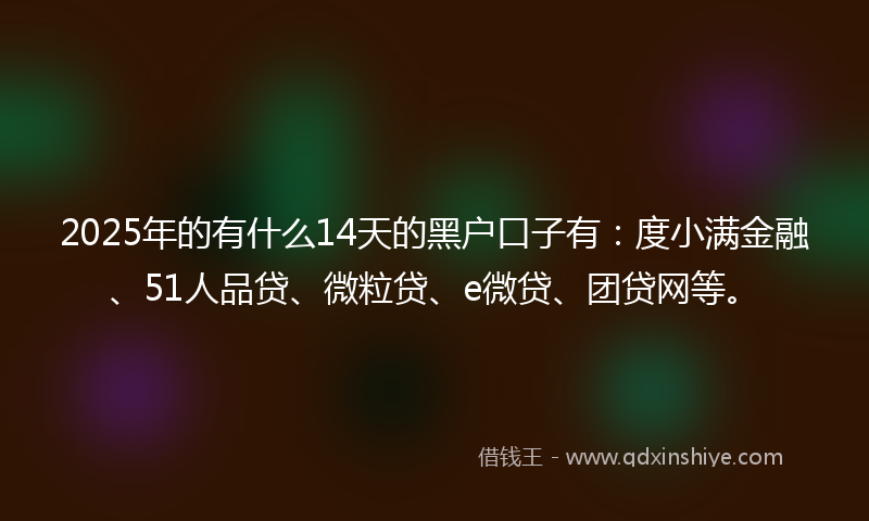 2025年的有什么14天的黑户口子有：度小满金融、51人品贷、微粒贷、e微贷、团贷网等。