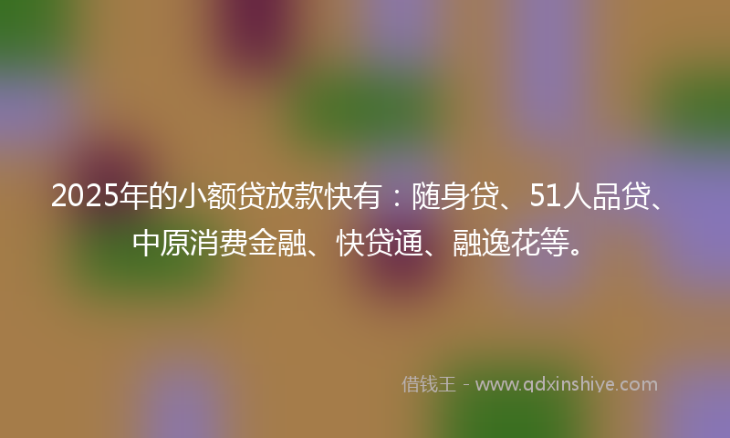 2025年的小额贷放款快有：随身贷、51人品贷、中原消费金融、快贷通、融逸花等。