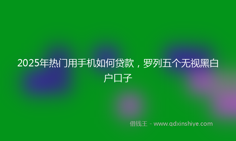2025年热门用手机如何贷款，罗列五个无视黑白户口子