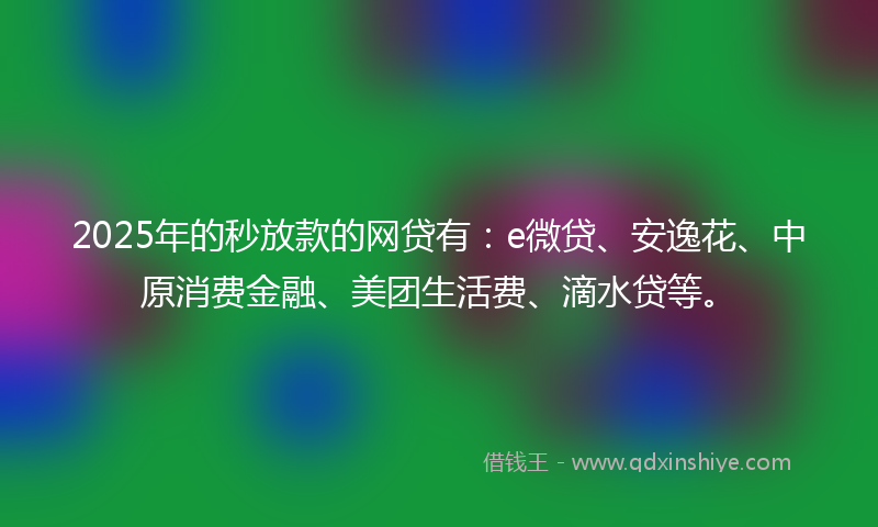 2025年的秒放款的网贷有：e微贷、安逸花、中原消费金融、美团生活费、滴水贷等。