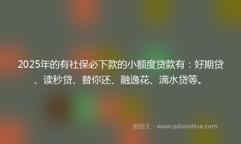 2025年的有社保必下款的小额度贷款有：好期贷、读秒贷、替你还、融逸花、滴水贷等。