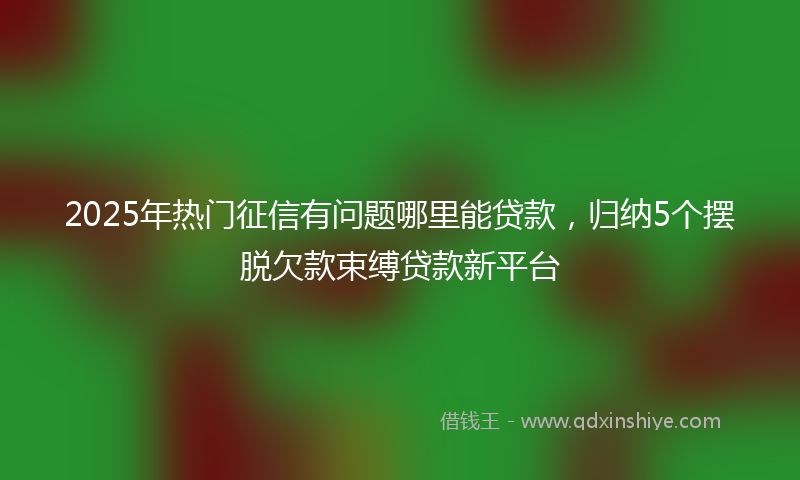 2025年热门征信有问题哪里能贷款，归纳5个摆脱欠款束缚贷款新平台