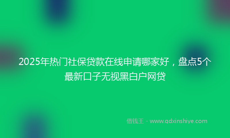 2025年热门社保贷款在线申请哪家好，盘点5个最新口子无视黑白户网贷