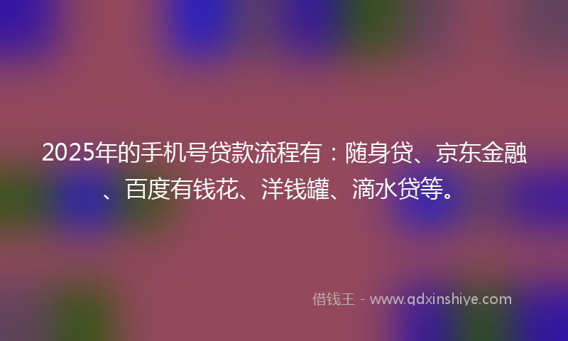 2025年的手机号贷款流程有：随身贷、京东金融、百度有钱花、洋钱罐、滴水贷等。