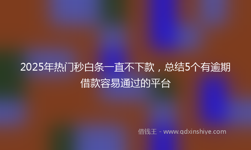 2025年热门秒白条一直不下款，总结5个有逾期借款容易通过的平台