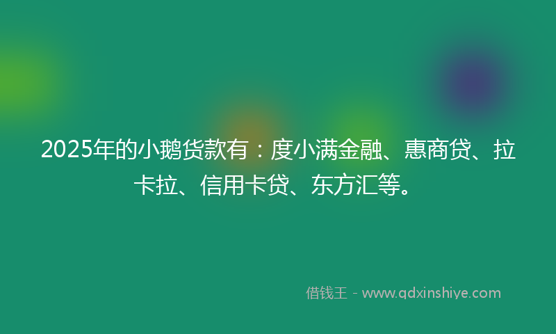 2025年的小鹅货款有：度小满金融、惠商贷、拉卡拉、信用卡贷、东方汇等。