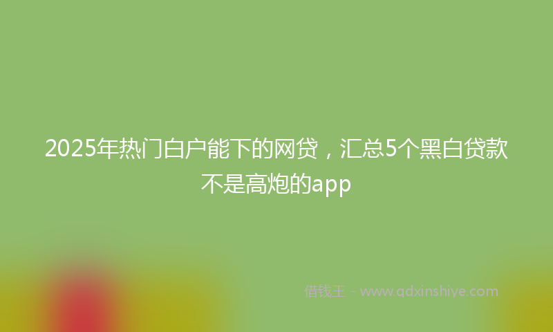 2025年热门白户能下的网贷，汇总5个黑白贷款不是高炮的app