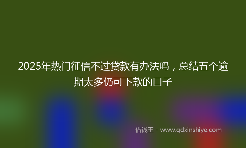 2025年热门征信不过贷款有办法吗，总结五个逾期太多仍可下款的口子