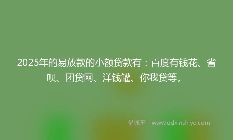 2025年的易放款的小额贷款有：百度有钱花、省呗、团贷网、洋钱罐、你我贷等。