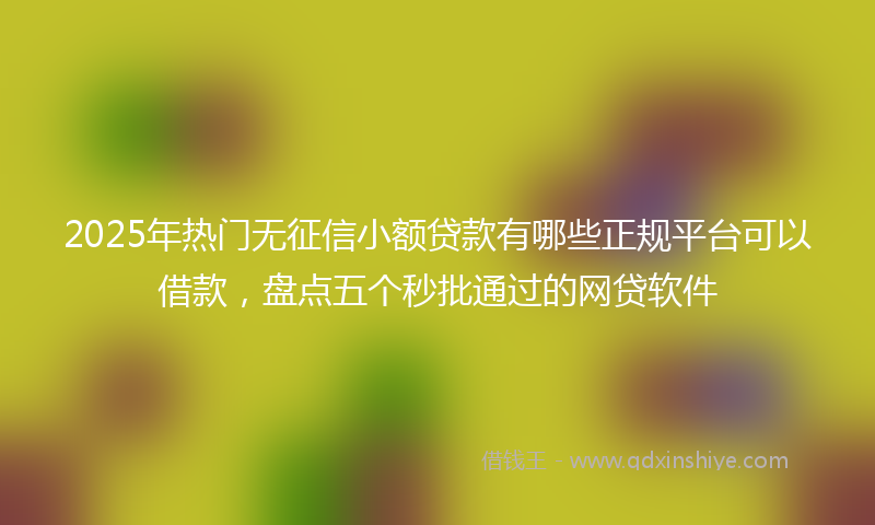 2025年热门无征信小额贷款有哪些正规平台可以借款，盘点五个秒批通过的网贷软件
