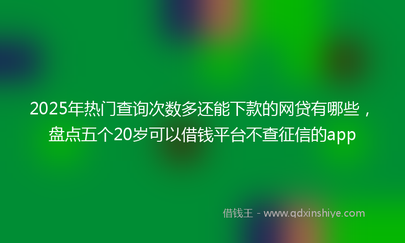 2025年热门查询次数多还能下款的网贷有哪些，盘点五个20岁可以借钱平台不查征信的app