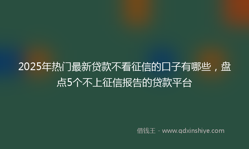 2025年热门最新贷款不看征信的口子有哪些，盘点5个不上征信报告的贷款平台