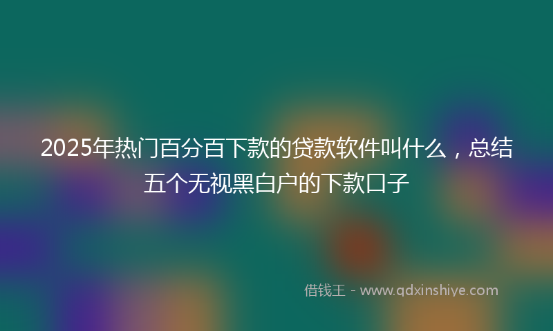 2025年热门百分百下款的贷款软件叫什么，总结五个无视黑白户的下款口子