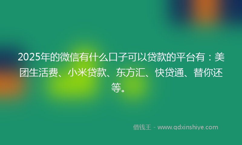 2025年的微信有什么口子可以贷款的平台有：美团生活费、小米贷款、东方汇、快贷通、替你还等。