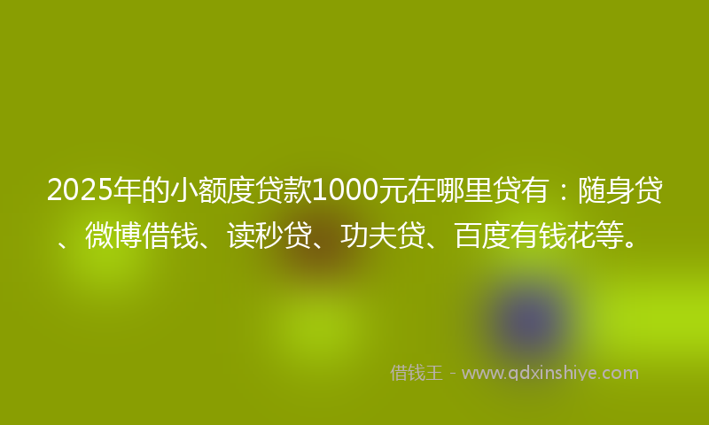 2025年的小额度贷款1000元在哪里贷有：随身贷、微博借钱、读秒贷、功夫贷、百度有钱花等。